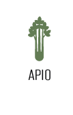 Apio