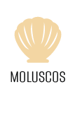 Moluscos